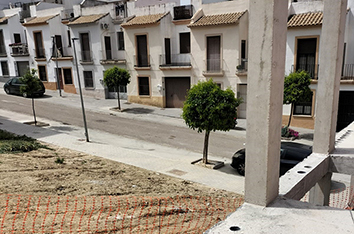 Extracción de testigos